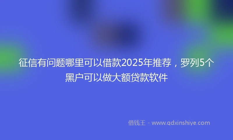 征信有问题哪里可以借款2025年推荐，罗列5个黑户可以做大额贷款软件