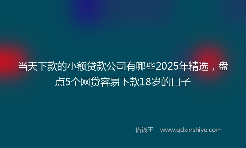 当天下款的小额贷款公司有哪些2025年精选，盘点5个网贷容易下款18岁的口子