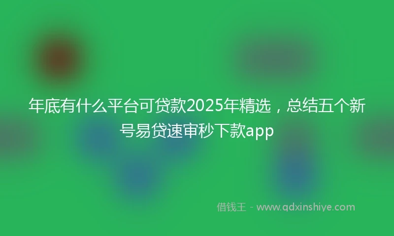 年底有什么平台可贷款2025年精选，总结五个新号易贷速审秒下款app
