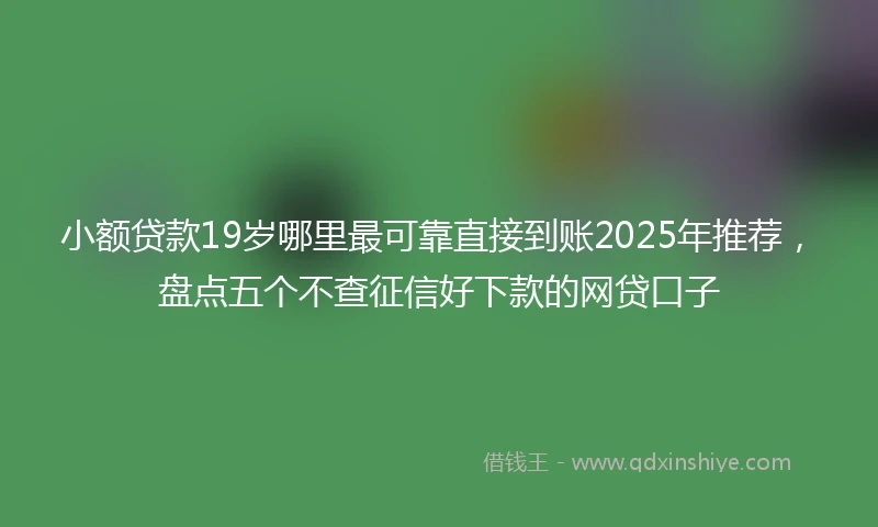 小额贷款19岁哪里最可靠直接到账2025年推荐，盘点五个不查征信好下款的网贷口子