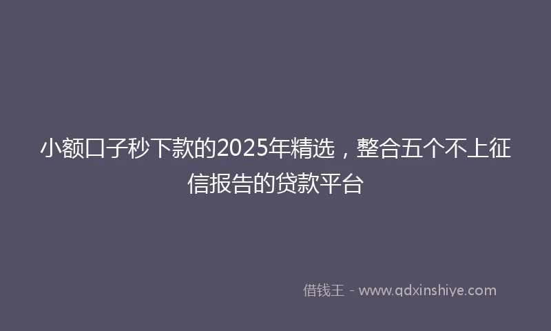 小额口子秒下款的2025年精选，整合五个不上征信报告的贷款平台