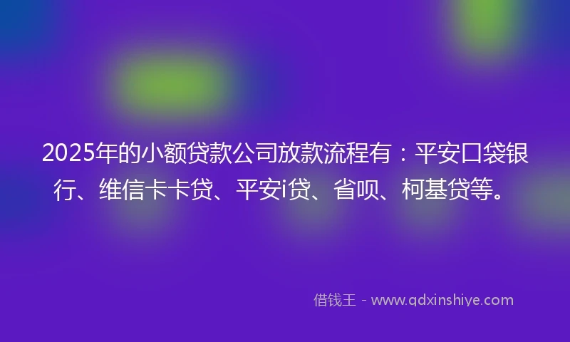 2025年的小额贷款公司放款流程有：平安口袋银行、维信卡卡贷、平安i贷、省呗、柯基贷等。