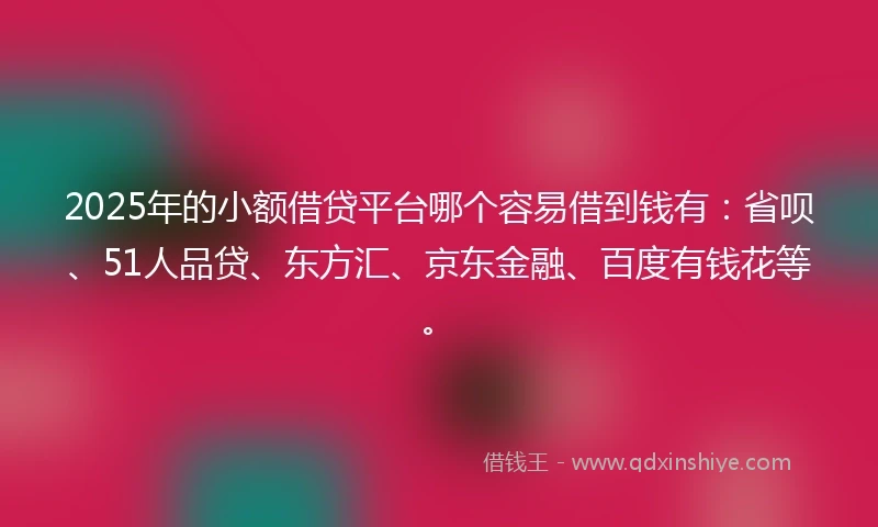 2025年的小额借贷平台哪个容易借到钱有：省呗、51人品贷、东方汇、京东金融、百度有钱花等。
