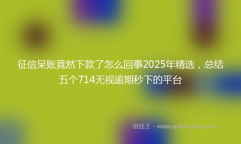 征信呆账竟然下款了怎么回事2025年精选，总结五个714无视逾期秒下的平台