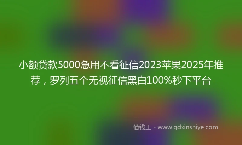 小额贷款5000急用不看征信2023苹果2025年推荐，罗列五个无视征信黑白100%秒下平台