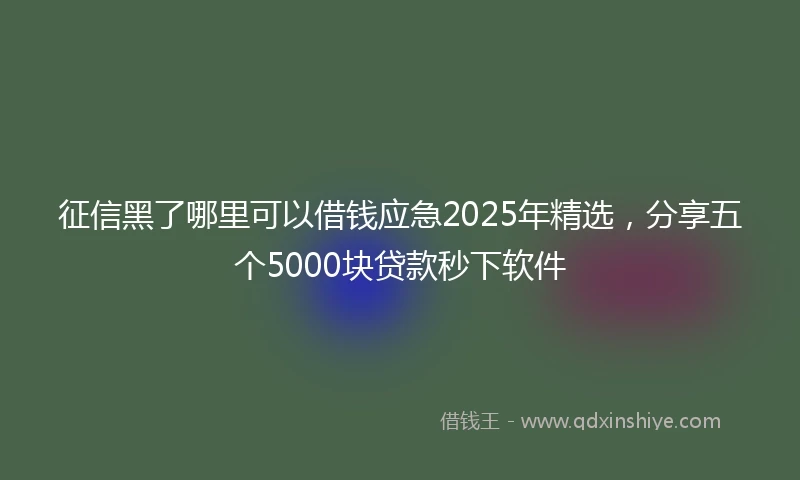 征信黑了哪里可以借钱应急2025年精选，分享五个5000块贷款秒下软件