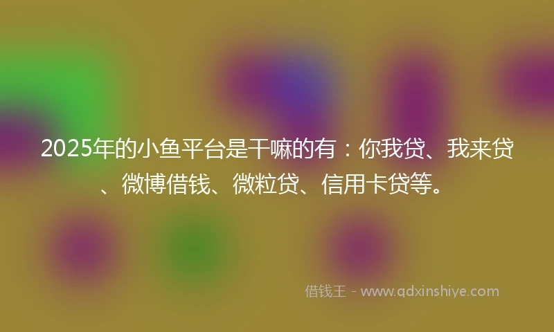 2025年的小鱼平台是干嘛的有：你我贷、我来贷、微博借钱、微粒贷、信用卡贷等。