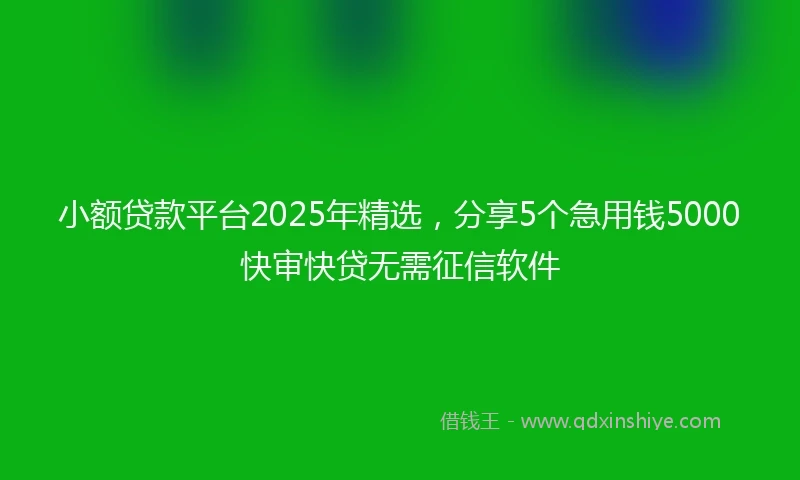 小额贷款平台2025年精选，分享5个急用钱5000快审快贷无需征信软件