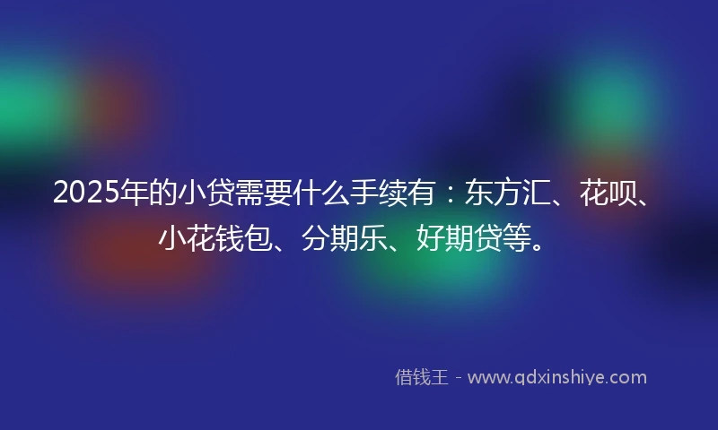 2025年的小贷需要什么手续有：东方汇、花呗、小花钱包、分期乐、好期贷等。