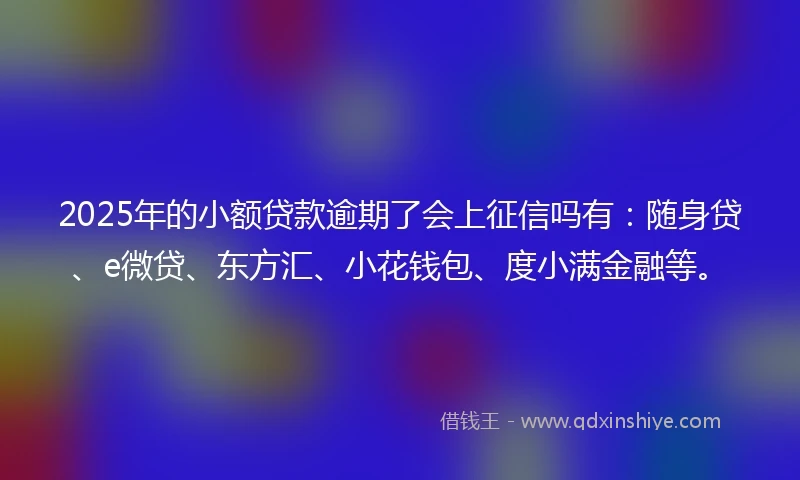 2025年的小额贷款逾期了会上征信吗有：随身贷、e微贷、东方汇、小花钱包、度小满金融等。