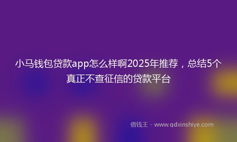 小马钱包贷款app怎么样啊2025年推荐，总结5个真正不查征信的贷款平台