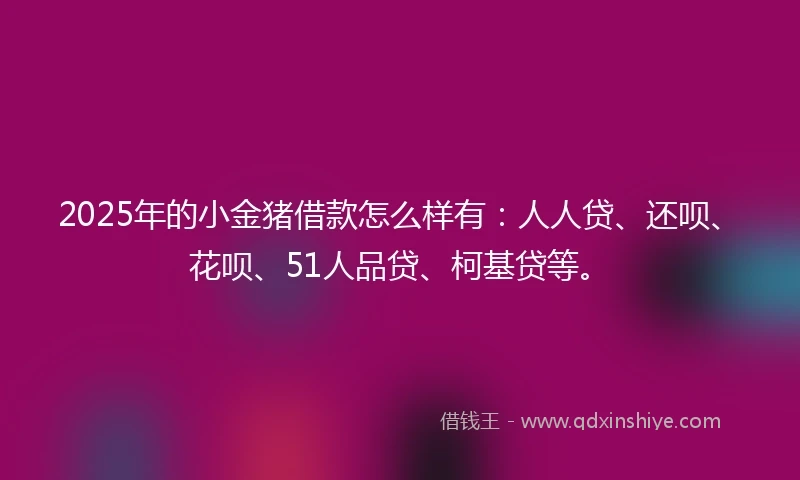 2025年的小金猪借款怎么样有：人人贷、还呗、花呗、51人品贷、柯基贷等。