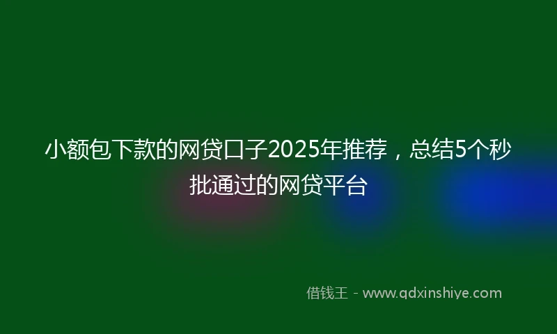 小额包下款的网贷口子2025年推荐，总结5个秒批通过的网贷平台