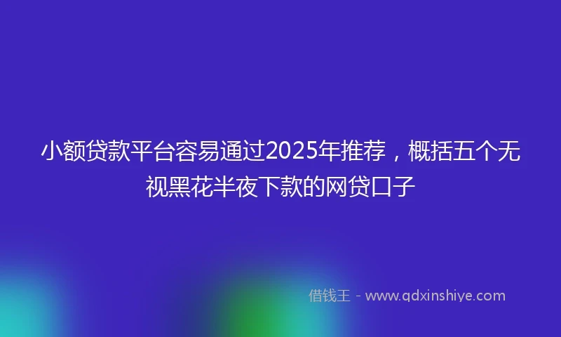 小额贷款平台容易通过2025年推荐，概括五个无视黑花半夜下款的网贷口子