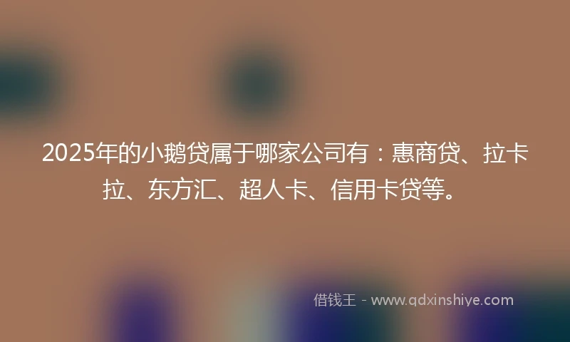 2025年的小鹅贷属于哪家公司有：惠商贷、拉卡拉、东方汇、超人卡、信用卡贷等。