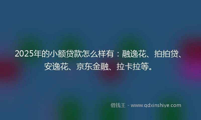 2025年的小额贷款怎么样有：融逸花、拍拍贷、安逸花、京东金融、拉卡拉等。