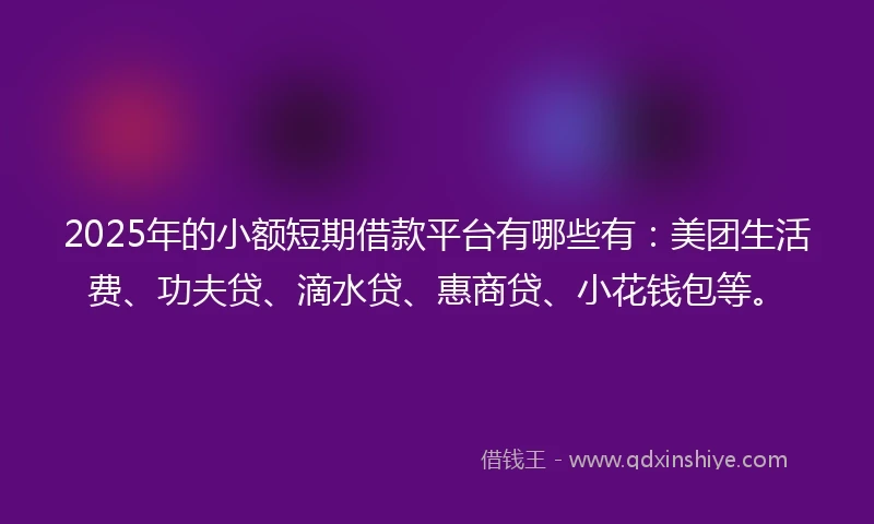 2025年的小额短期借款平台有哪些有：美团生活费、功夫贷、滴水贷、惠商贷、小花钱包等。