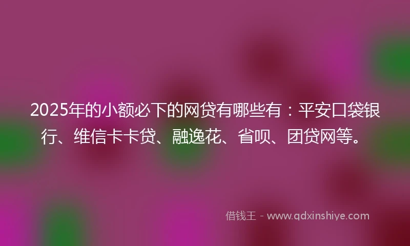 2025年的小额必下的网贷有哪些有：平安口袋银行、维信卡卡贷、融逸花、省呗、团贷网等。