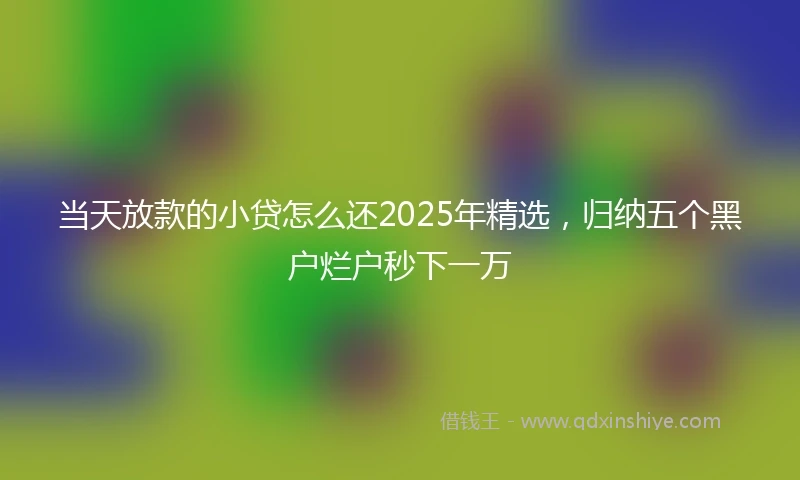 当天放款的小贷怎么还2025年精选，归纳五个黑户烂户秒下一万