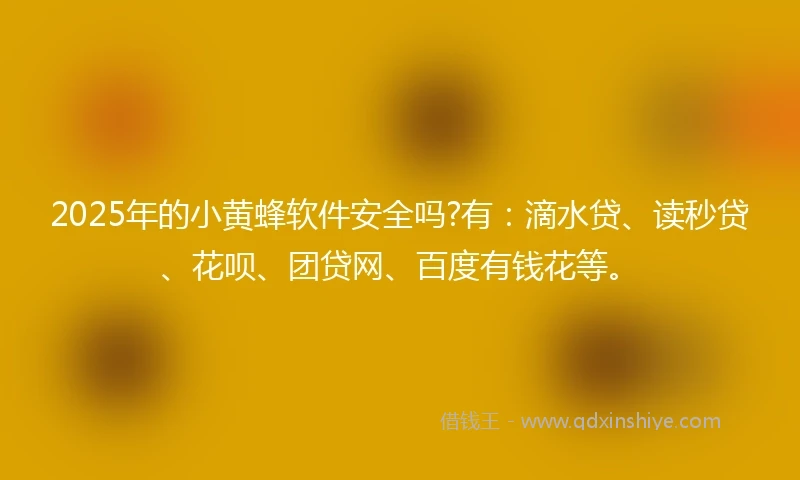 2025年的小黄蜂软件安全吗?有：滴水贷、读秒贷、花呗、团贷网、百度有钱花等。