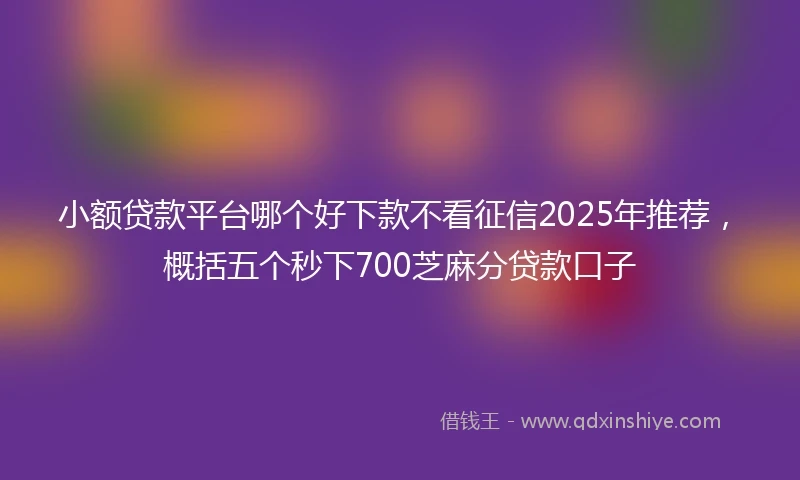 小额贷款平台哪个好下款不看征信2025年推荐，概括五个秒下700芝麻分贷款口子