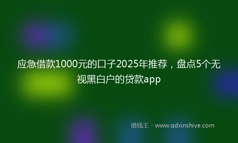应急借款1000元的口子2025年推荐，盘点5个无视黑白户的贷款app