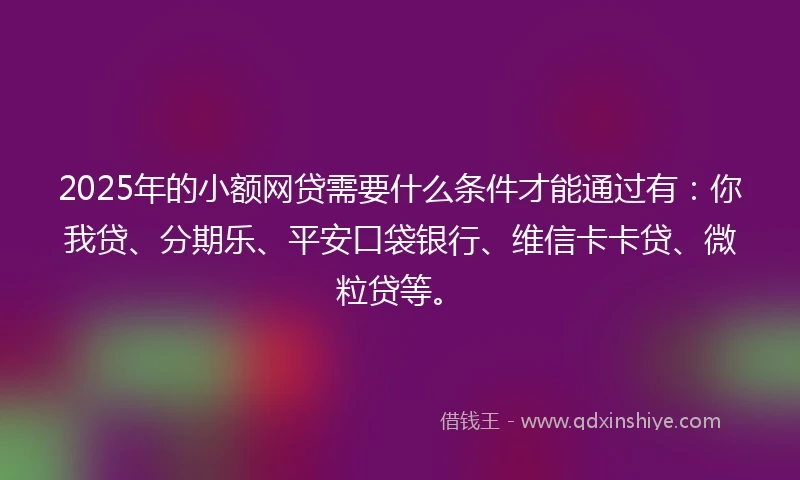 2025年的小额网贷需要什么条件才能通过有：你我贷、分期乐、平安口袋银行、维信卡卡贷、微粒贷等。