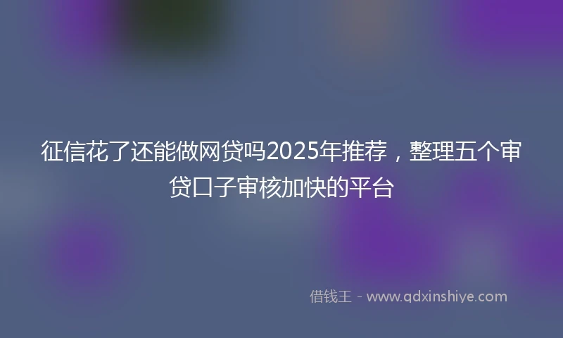 征信花了还能做网贷吗2025年推荐,整理五个审贷口子审核加快的平台