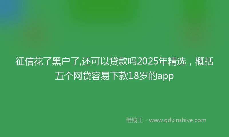 征信花了黑户了,还可以贷款吗2025年精选，概括五个网贷容易下款18岁的app