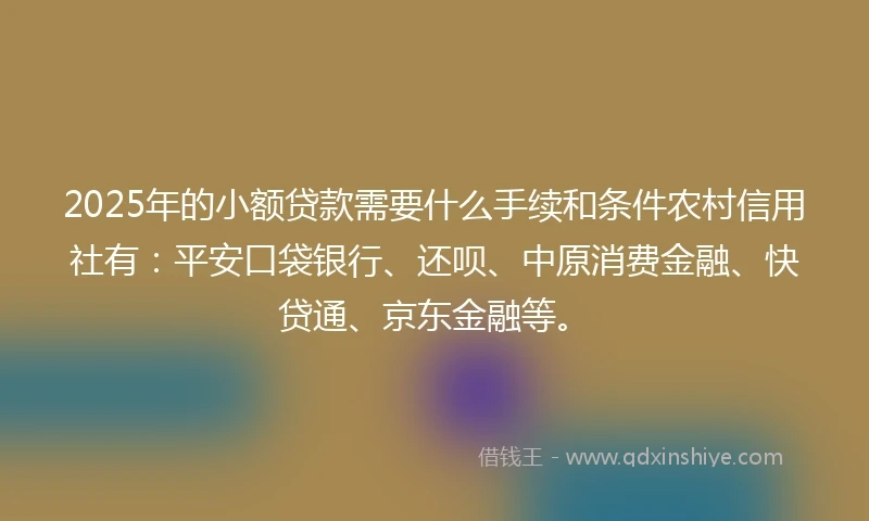 2025年的小额贷款需要什么手续和条件农村信用社有：平安口袋银行、还呗、中原消费金融、快贷通、京东金融等。