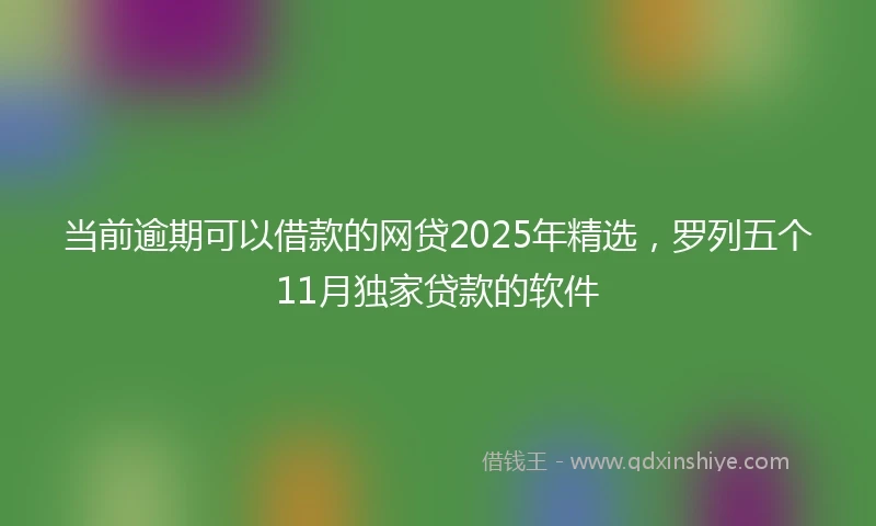 当前逾期可以借款的网贷2025年精选，罗列五个11月独家贷款的软件