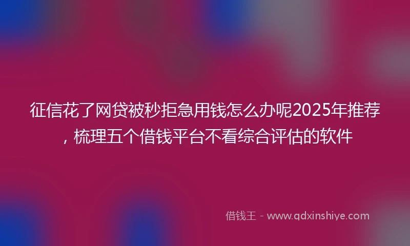 征信花了网贷被秒拒急用钱怎么办呢2025年推荐，梳理五个借钱平台不看综合评估的软件