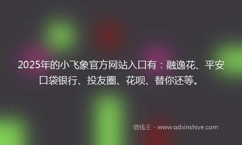 2025年的小飞象官方网站入口有：融逸花、平安口袋银行、投友圈、花呗、替你还等。