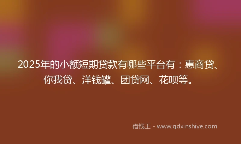 2025年的小额短期贷款有哪些平台有：惠商贷、你我贷、洋钱罐、团贷网、花呗等。
