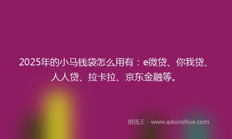 2025年的小马钱袋怎么用有：e微贷、你我贷、人人贷、拉卡拉、京东金融等。