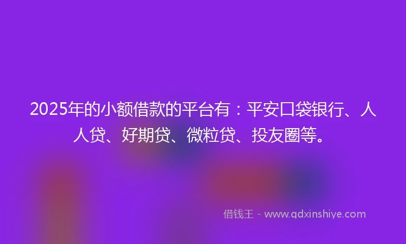 2025年的小额借款的平台有：平安口袋银行、人人贷、好期贷、微粒贷、投友圈等。
