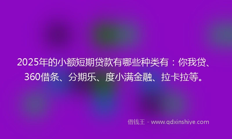 2025年的小额短期贷款有哪些种类有：你我贷、360借条、分期乐、度小满金融、拉卡拉等。