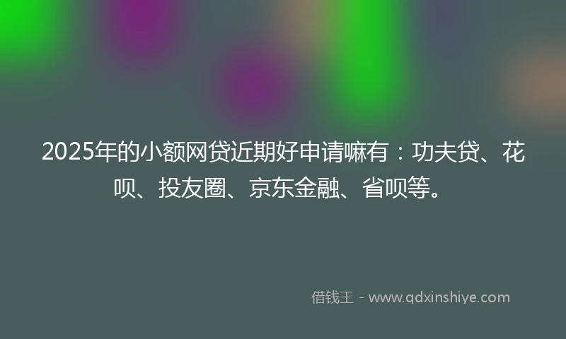 2025年的小额网贷近期好申请嘛有：功夫贷、花呗、投友圈、京东金融、省呗等。