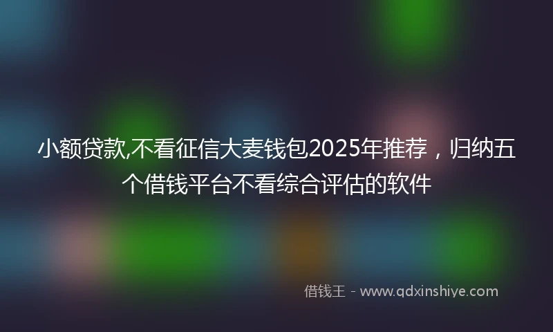 小额贷款,不看征信大麦钱包2025年推荐，归纳五个借钱平台不看综合评估的软件