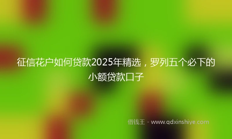 征信花户如何贷款2025年精选，罗列五个必下的小额贷款口子
