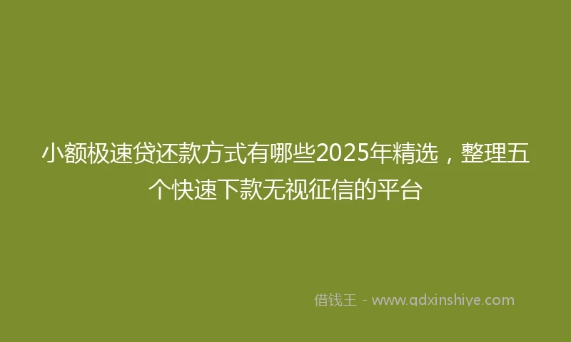 小额极速贷还款方式有哪些2025年精选，整理五个快速下款无视征信的平台