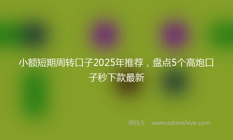 小额短期周转口子2025年推荐，盘点5个高炮口子秒下款最新