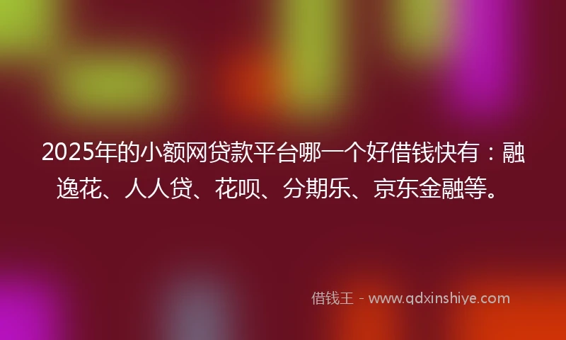 2025年的小额网贷款平台哪一个好借钱快有：融逸花、人人贷、花呗、分期乐、京东金融等。