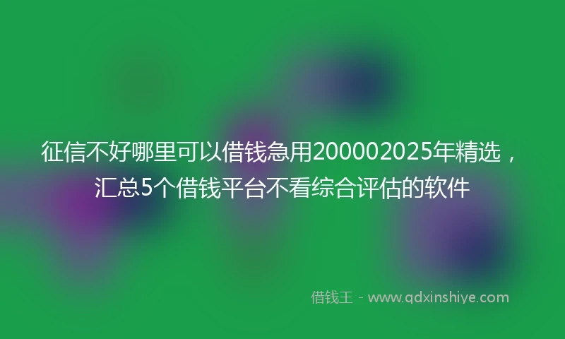 征信不好哪里可以借钱急用200002025年精选，汇总5个借钱平台不看综合评估的软件
