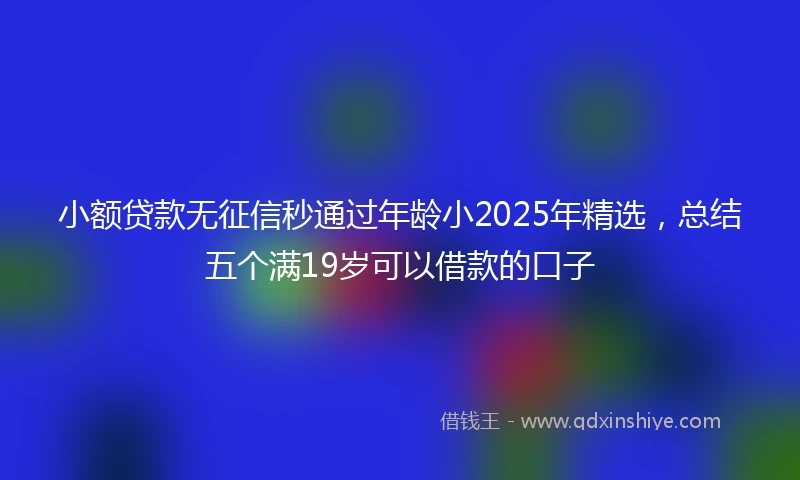 小额贷款无征信秒通过年龄小2025年精选,总结五个满19岁可以借款的口子