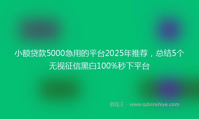 小额贷款5000急用的平台2025年推荐，总结5个无视征信黑白100%秒下平台
