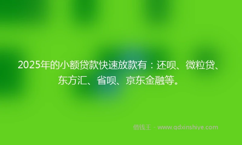 2025年的小额贷款快速放款有：还呗、微粒贷、东方汇、省呗、京东金融等。