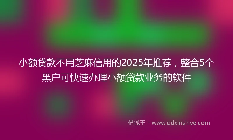 小额贷款不用芝麻信用的2025年推荐，整合5个黑户可快速办理小额贷款业务的软件