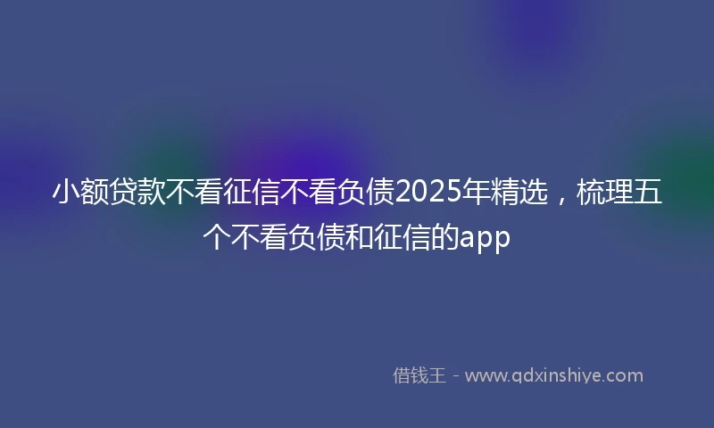 小额贷款不看征信不看负债2025年精选，梳理五个不看负债和征信的app