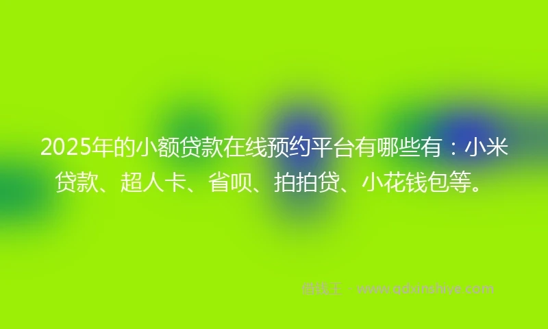 2025年的小额贷款在线预约平台有哪些有：小米贷款、超人卡、省呗、拍拍贷、小花钱包等。
